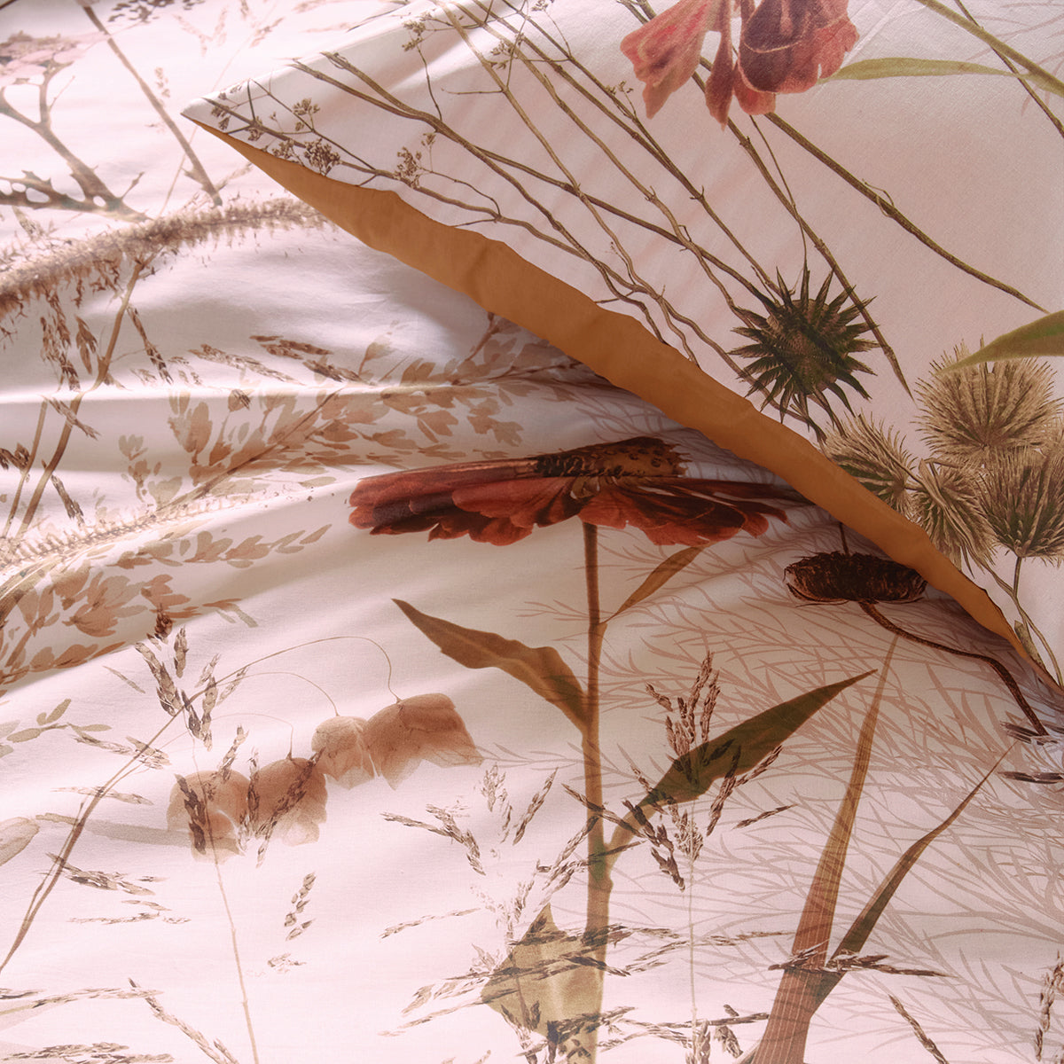 Echinacea flowered duvet cover
